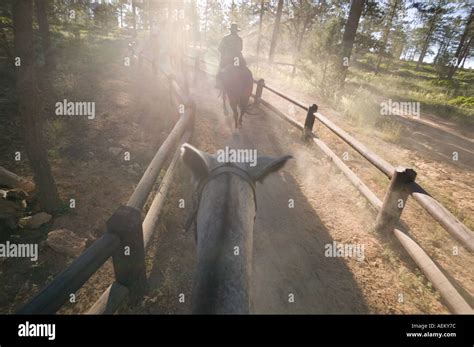 Horseback Riders In Bryce Canyon Hi Res Stock Photography And Images