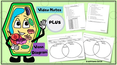 Plant And Animal Cell Cover Mrs Gs Classroom