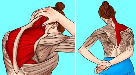 10 étirements pour soulager les tensions du cou et des épaules
