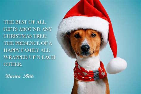 Christmas Quotes Presented By Dogs Pet Friendly House