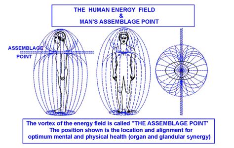 Balance The Human Energy Field With Assemblage Point Therapy