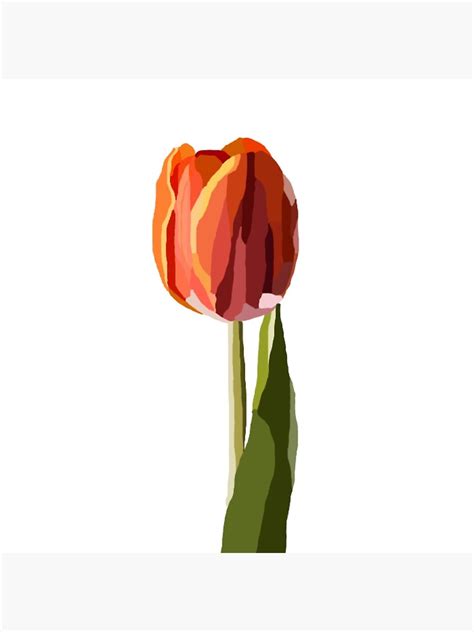 Red Tulip Poster By Aastriddb Redbubble