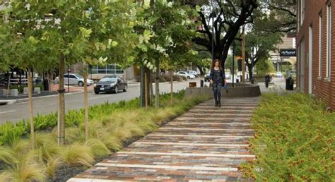 How Greening Our Streets Can Also Make Them More Resilient To Extreme