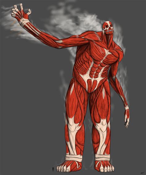 The Colossal Titan By Sphenaphinae On Deviantart