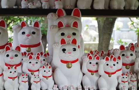 Manekineko Las Figuritas De Gatos De La Suerte De Japón