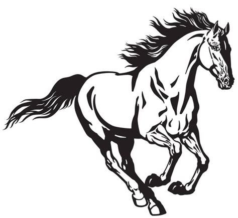 Mustang Horse Running Illustrations Royalty Free Vector Graphics