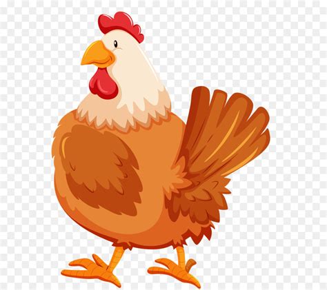 Ayam Kartun Unggas Gambar Png