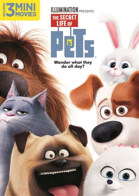 Best Buy The Secret Life Of Pets Dvd 2016