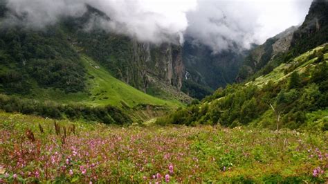 Valley Of Flowers Uttarakhand Experts Call To Impose Cap On Visitors