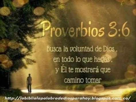 Frases Proverbios Biblia Citas Para Adultos En Santander
