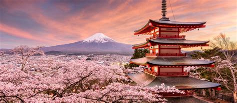 These hotel recommendations are based on their proximity to the meet up location for your mt. Mt Fuji Berghütte Hotel | Enchanting Travels
