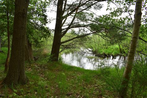 W us highway 10, ludington, mi 49431. Fountain, Mason County, MI Undeveloped Land, Lakefront ...