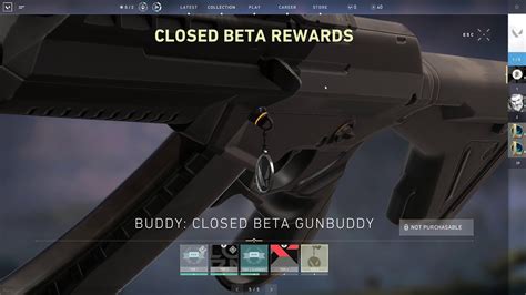 Closed Beta Gunbuddy Preview Valorant Closed Beta Youtube