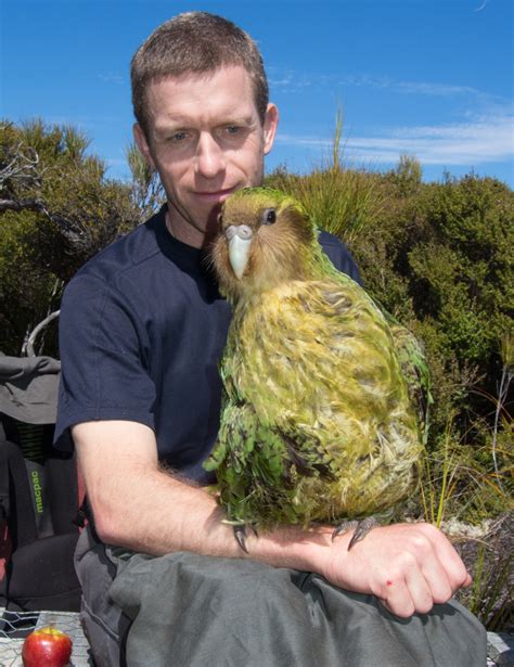 After 10000 Years Of Inbreeding The Critically Endangered Kakapo