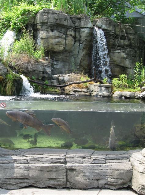 Randuwa Ppg Aquarium Pittsburgh Zoo