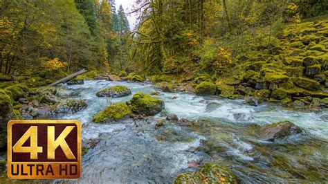 Beautiful Nature Video In 4k Ultra Hd Autumn River