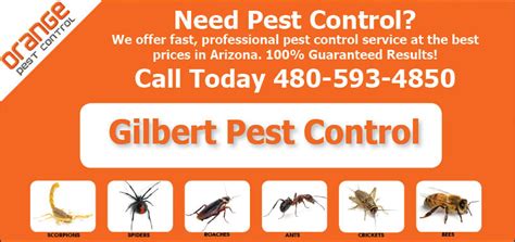 Gilbert Pest Control Orange Pest Control Az Safe And Effective Pest