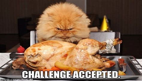 12 Funny Thanksgiving Memes That Capture Our Feelings For That Holiday