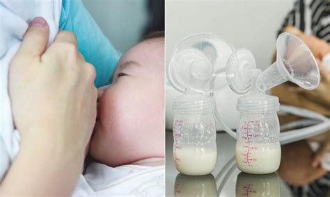 Mother Attempts To Sell Her Breast Milk To Bodybuilders Daily Mail Online