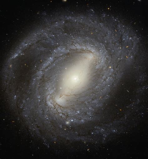 Barred Spiral Galaxy Ngc 4394 Ngc 4394 Is The Archetypal B Flickr