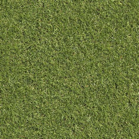 Grass Texture Seamless Mintwest