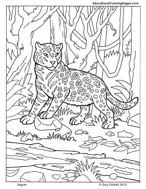 70 Best Images About The Big Five On Pinterest Coloring