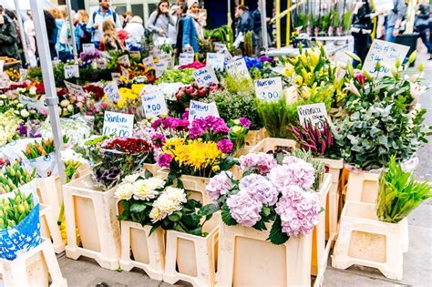 The Original Los Angeles Flower Market Hours Best Flower Site
