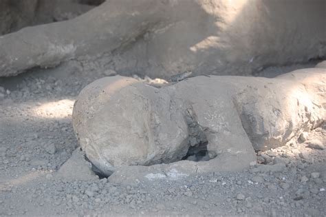 the horror of pompeii plaster casts and photography public places past and present