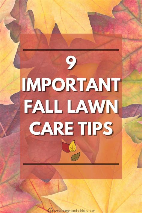 Fall Lawn Care Tips Prepare Your Lawn And Grass For Autumnwinter