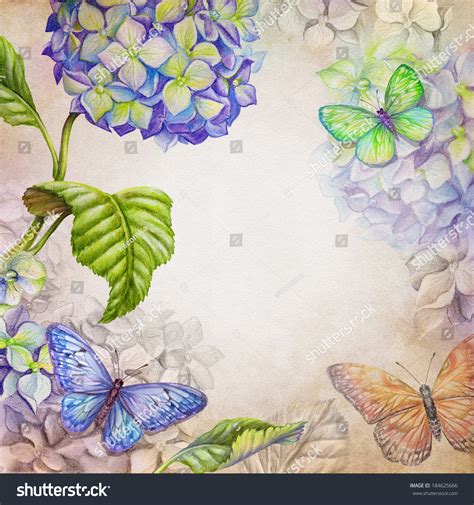 Watercolor Botanic Illustration Hydrangea Butterflies Vintage