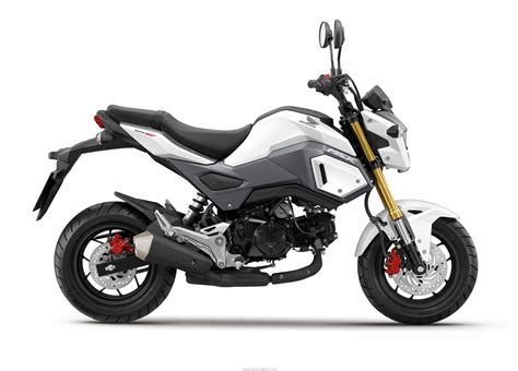 The new street from honda comes in a total of 2 variants. Honda MSX 125 2016 : Place aux leds ! - Route