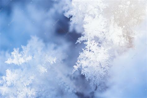 雪花形状冰晶白色积雪摄影图高清摄影大图 千库网