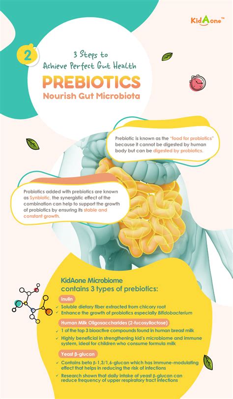 Kidaone Microbiome Singapore Kids Probiotic Wellnessmall Sg