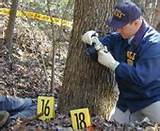 Images of Forensic Science Technician Information