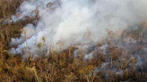 Reporte Oficial Por Los Incendios En Argentina Hay Un Foco Activo En
