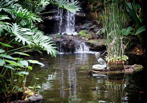 Koi Pond Waterfalls — Koi Story