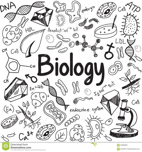 Pin By Rebecca Rolemberg On Biología 1ºbto Science Doodles Biology