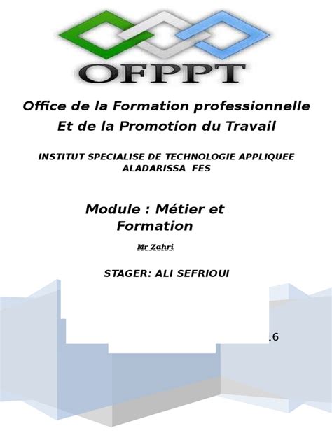 Rapport Métier Et Formation Tri Pdf Programmeur Informatique