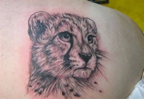 Great Cheetah Pictures Tattooimagesbiz