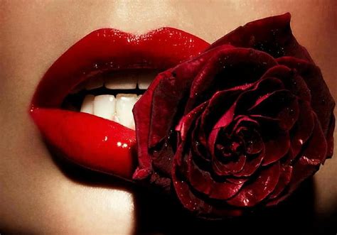 Intense Red Lips Rose Woman And Stock Mouth Hd Wallpaper Pxfuel