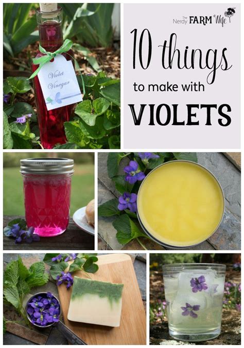10 Things To Make With Violets Edible Flowers Edible Wild Plants