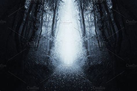 Path Through Dark Haunted Forest Haunted Forest Dark Forest Surrealism