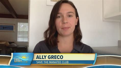 Save The Manatees With Save The Manatee Club Fcl April Firstcoastnews Com