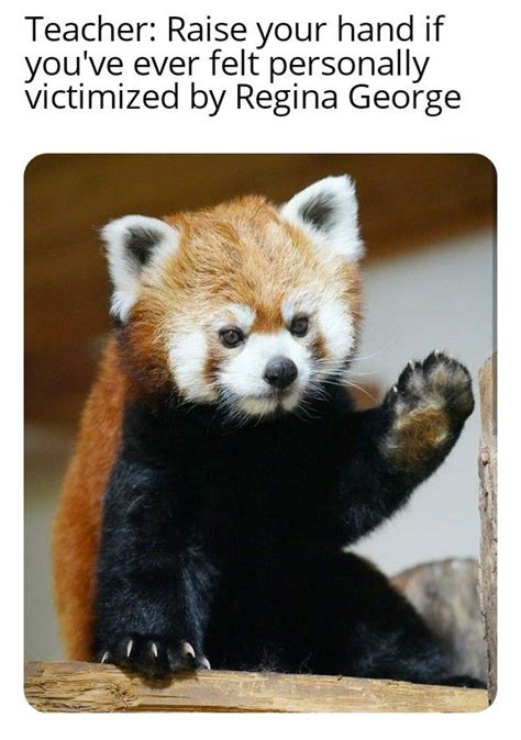 Memes For Conservation Awareness Panda Bear Cute Animals Red Panda