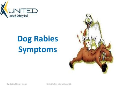 Dog Rabies Symptoms