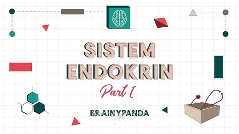 Sistem Endokrin Part 1 Ilmu Biomedik Dasar Brainy Panda YouTube