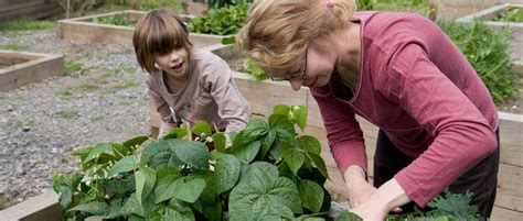 Encouraging, clear, and simple steps will give you the tools and the confidence you need as a new gardener. A beginner's guide to gardening / RHS Gardening