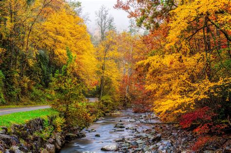 Usa Autumn Parks Forests Stream Great Smoky