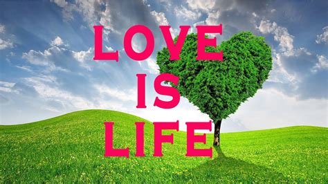 Love Is Life Motivational Video Youtube