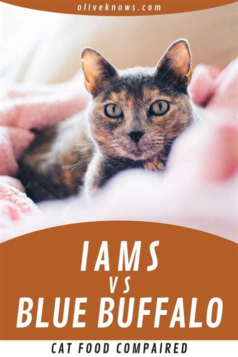 This should be a definite plus for any dog, because bitter tastes have been shown to be bad for dogs. Iams vs Blue Buffalo Cat Food Compared: Which Is The Best ...